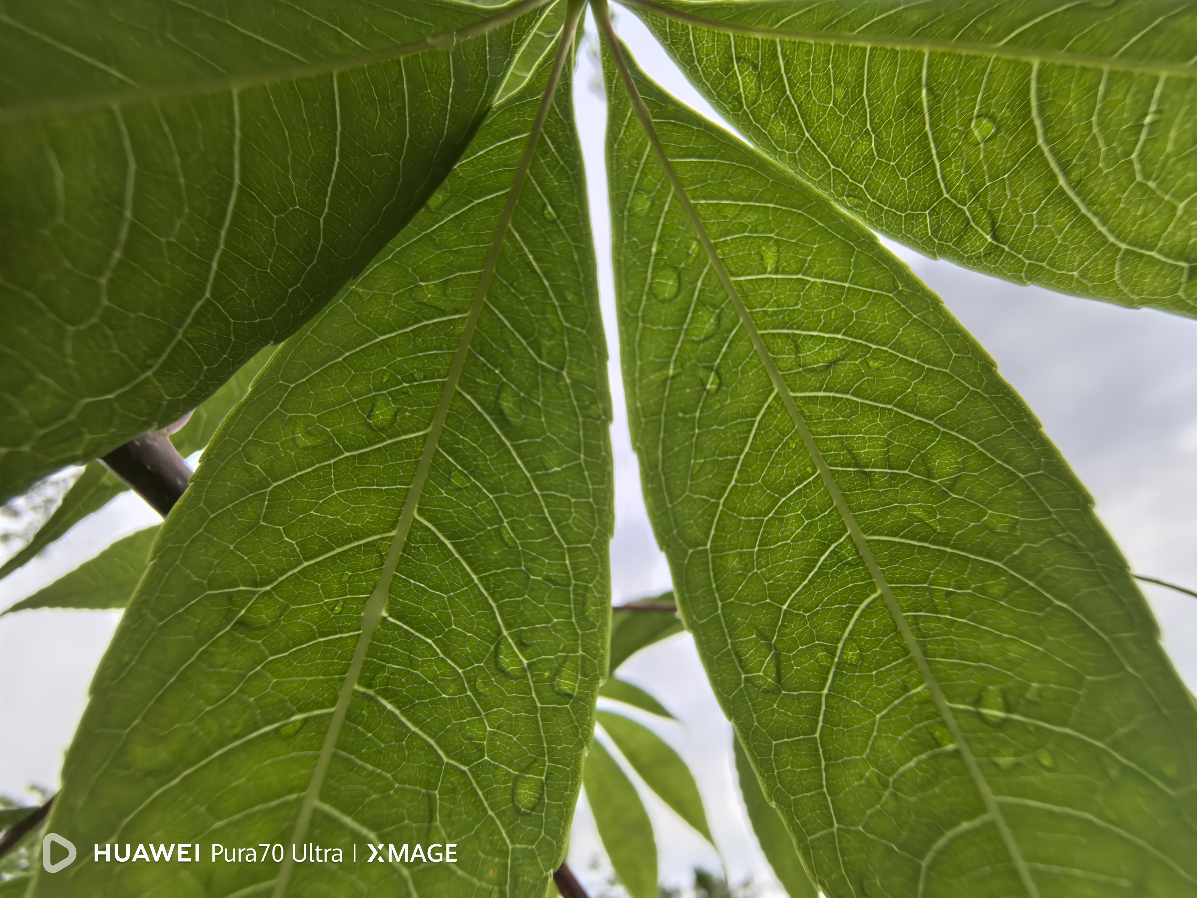 运动相机什么是运动相星空体育官网机?机的最新报道(图11) 运动相机什么是运动相星空体育官网机?机的最新报道(图11)