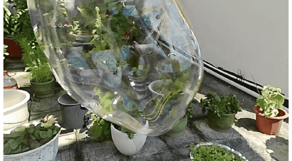 国内运动相机也有好选择升级不升价新海鸟4K运动星空体育官网相机(图19) 国内运动相机也有好选择升级不升价新海鸟4K运动星空体育官网相机(图19)