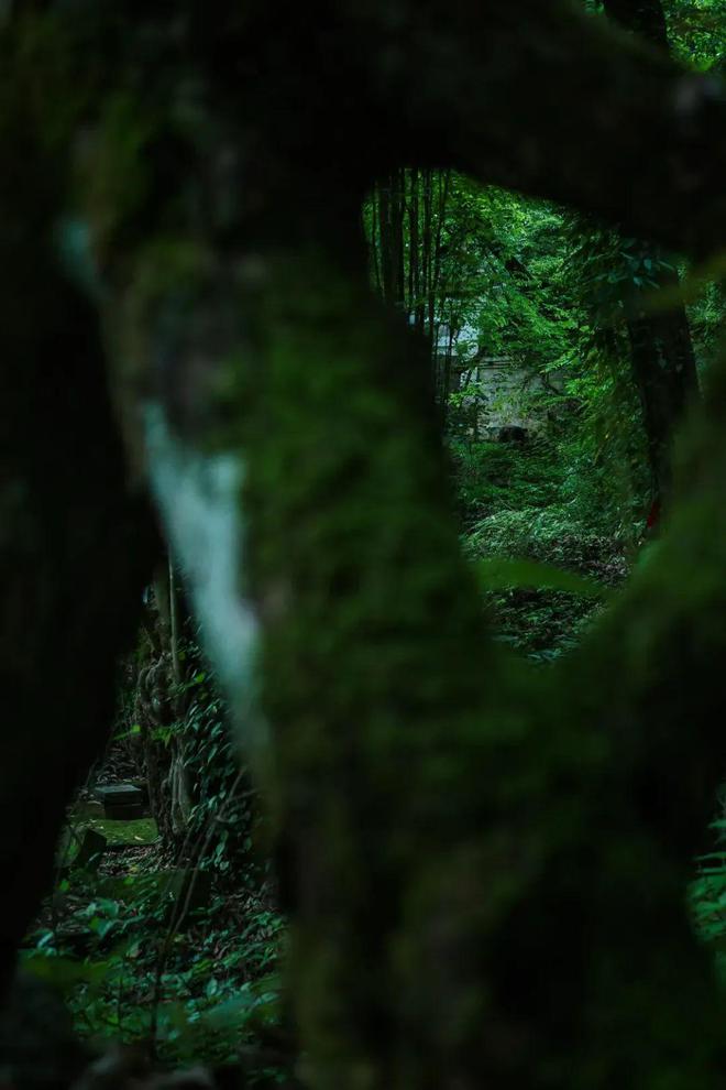 星空中国体育网站从微单、手机到运动相机谁才是最适合记录生活的「它」(图4)