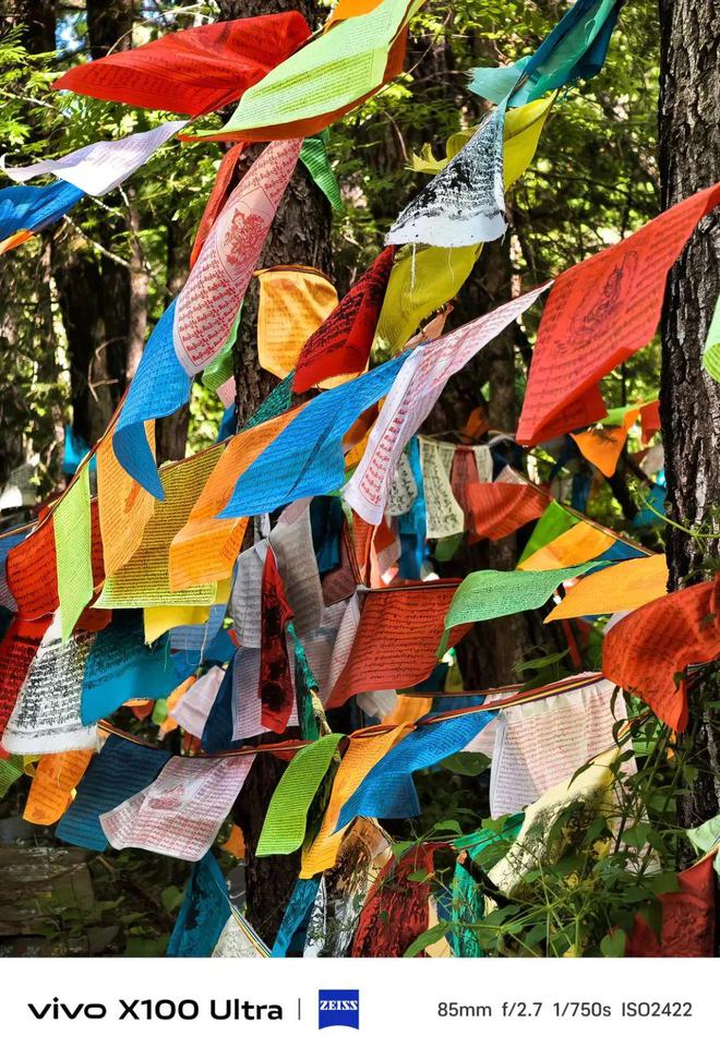 星空中国体育网站从微单、手机到运动相机谁才是最适合记录生活的「它」(图11)