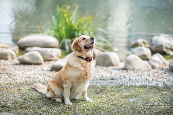 星空官方体育只提GoPro你就OUT了 运动相机还能这么玩 !(图11) 星空官方体育只提GoPro你就OUT了 运动相机还能这么玩 !(图11)
