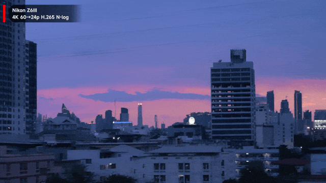 更先进的混合相机 尼康Z6星空体育平台Ⅲ鸟类与VLOG实拍体验(图7) 更先进的混合相机 尼康Z6星空体育平台Ⅲ鸟类与VLOG实拍体验(图7)