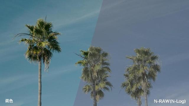 星空体育平台·appZ6III视频解决方案登场!尼康参展P&I 2024(图8) 星空体育平台·appZ6III视频解决方案登场!尼康参展P&I 2024(图8)