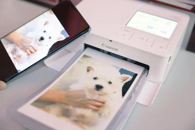 佳能携输入输出影像产品及丰富解星空体育平台决方案亮相2024 CHINA PE(图16)