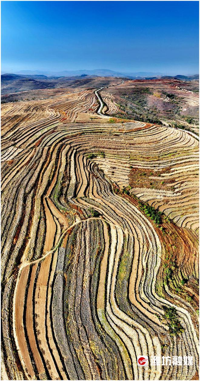 星空体育平台·app潍坊我的家 王启运：镜头里的大美潍坊(图4)