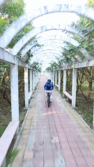 能拍8K！体验零零科技X1 PRO运动飞行相机竞品是运动相机？(图4)