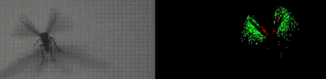 事件相机+AI视频生成入选ICIP无需训练实现可控视频生成｜港大(图2)