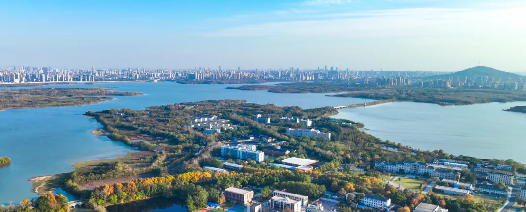 在合肥如何长成“小巨人”？(图5)