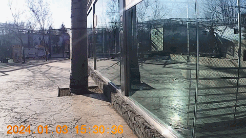 93元的运动相机循环录像能拍4K视频支持EIS防抖(图6)