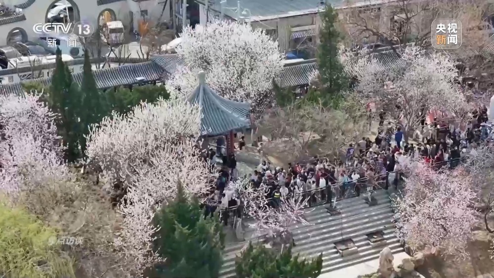 焦点访谈丨创新多元化消费场景 助力“春日经济”焕发新活力(图5)