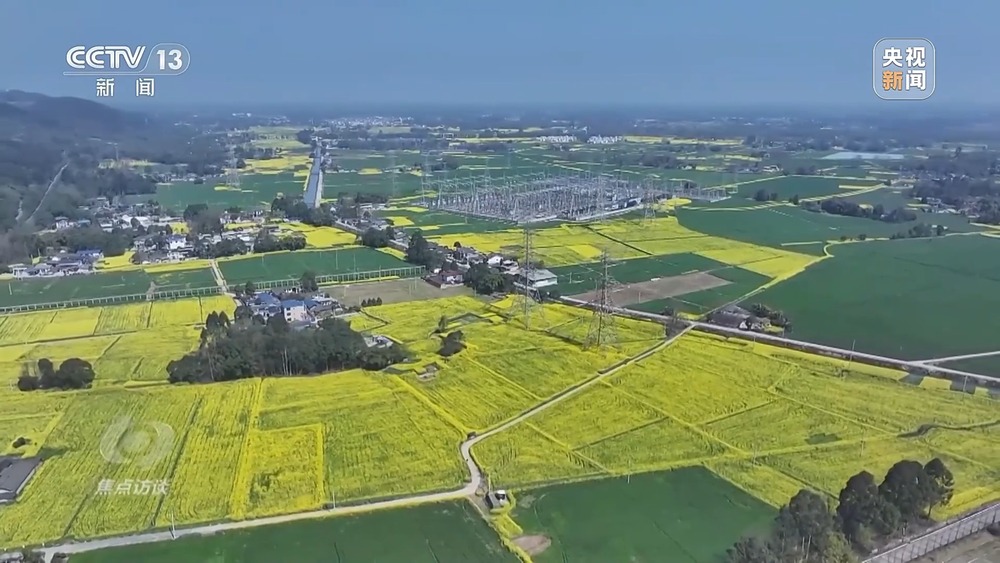 焦点访谈丨创新多元化消费场景 助力“春日经济”焕发新活力(图3)