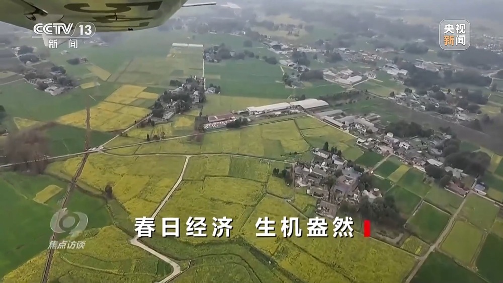 焦点访谈丨创新多元化消费场景 助力“春日经济”焕发新活力(图2)