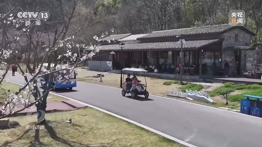 焦点访谈丨创新多元化消费场景 助力“春日经济”焕发新活力(图12)