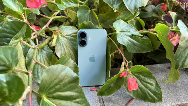 购机攻略！2025年高颜值iPhone保姆级推荐：从入门到旗舰喜欢吗(图3)