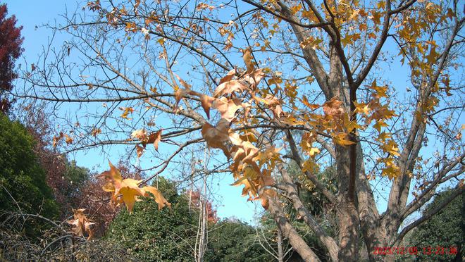 运动相机有必要买吗？用了半个月说说使用感受再聊聊如何避坑(图10)