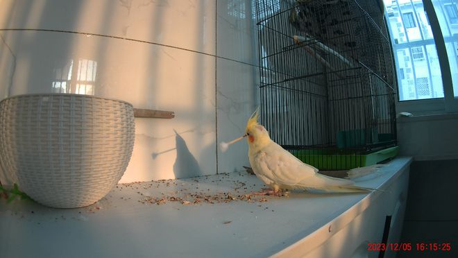 运动相机有必要买吗？用了半个月说说使用感受再聊聊如何避坑(图13)