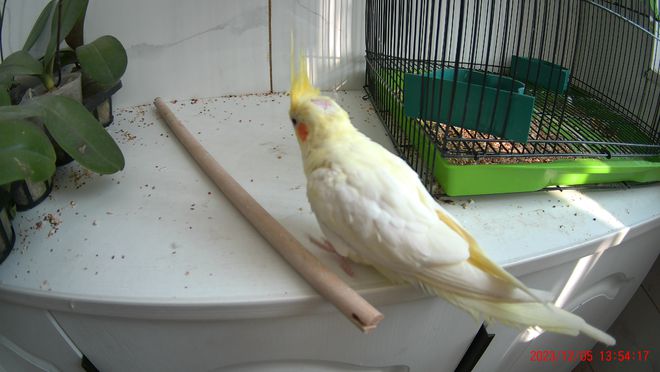 运动相机有必要买吗？用了半个月说说使用感受再聊聊如何避坑(图14)