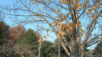 运动相机有必要买吗？用了半个月说说使用感受再聊聊如何避坑(图20)