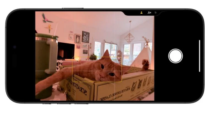 相机+中文版免费2025官服(图18)