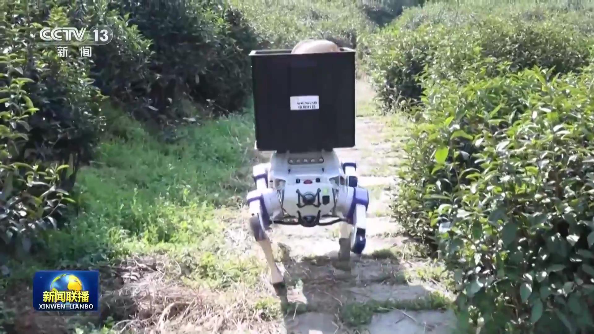 我国智能机器人场景落地创新加速(图2)