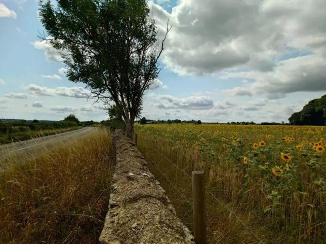 我试图喜欢索尼手机但它的过时定位让人无法喜欢(图3)