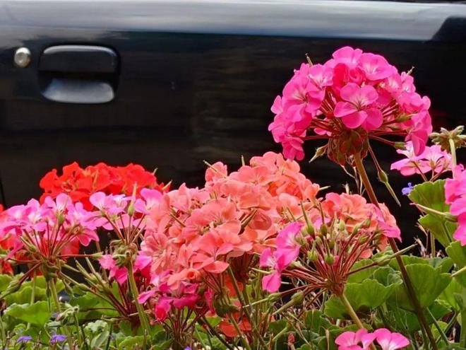 我试图喜欢索尼手机但它的过时定位让人无法喜欢(图4)