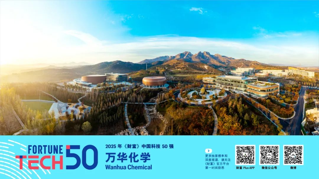 2025年《财富》中国科技50强(图13)