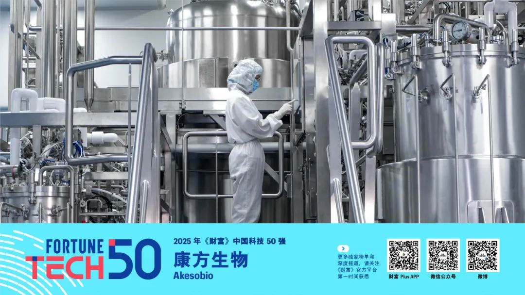 2025年《财富》中国科技50强(图12)