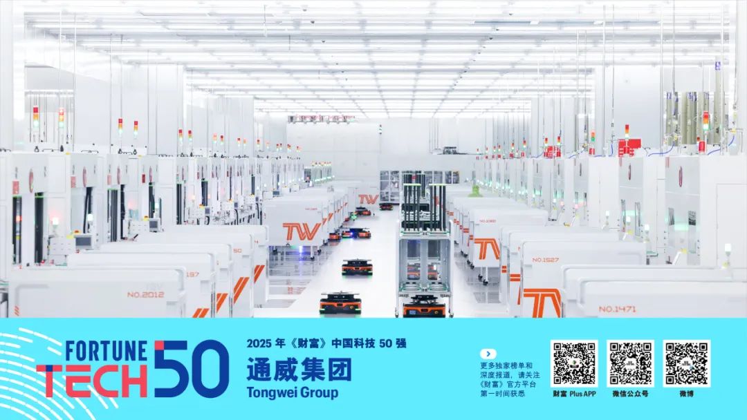 2025年《财富》中国科技50强(图19)