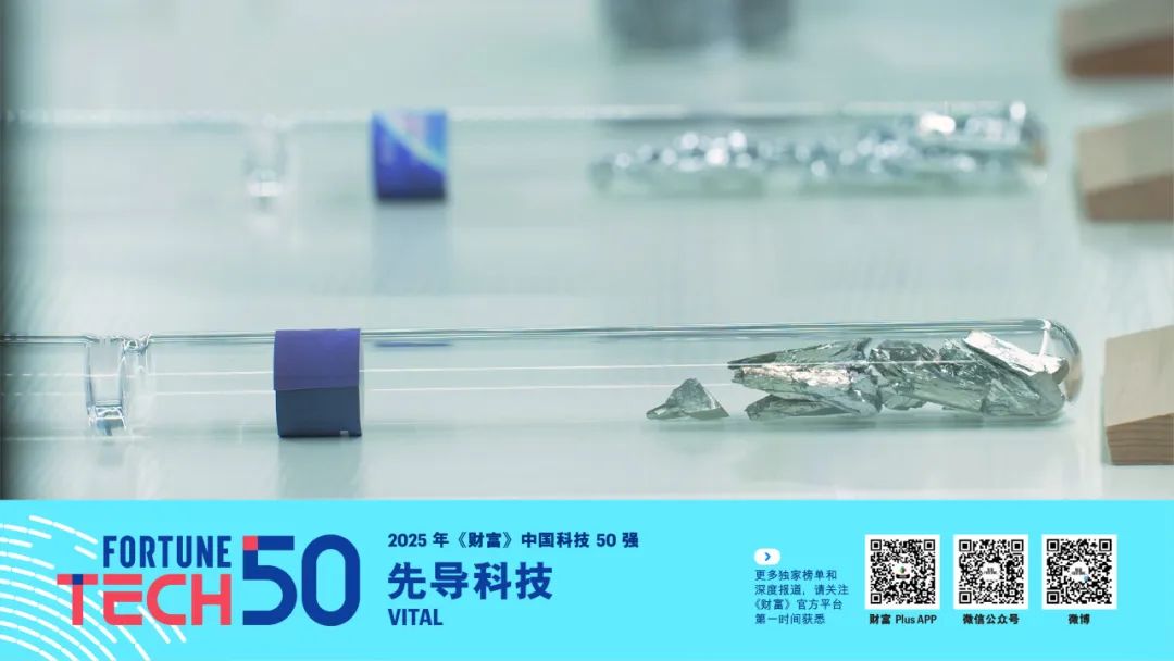 2025年《财富》中国科技50强(图30)