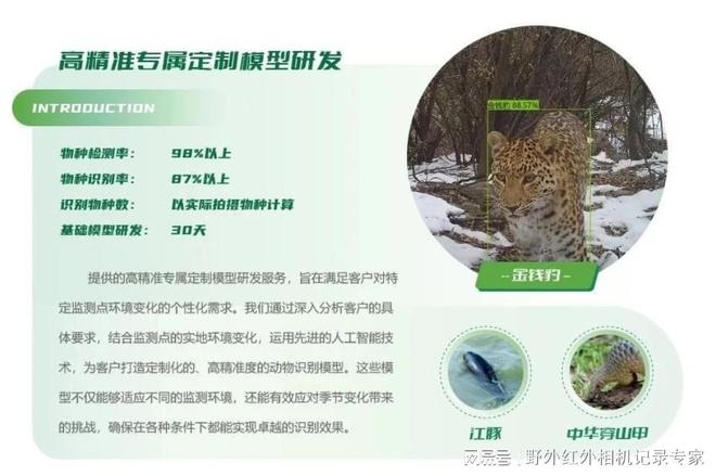 优威视讯AI物种识别模型：红外相机声纹仪推动生物多样性智能时代(图2)