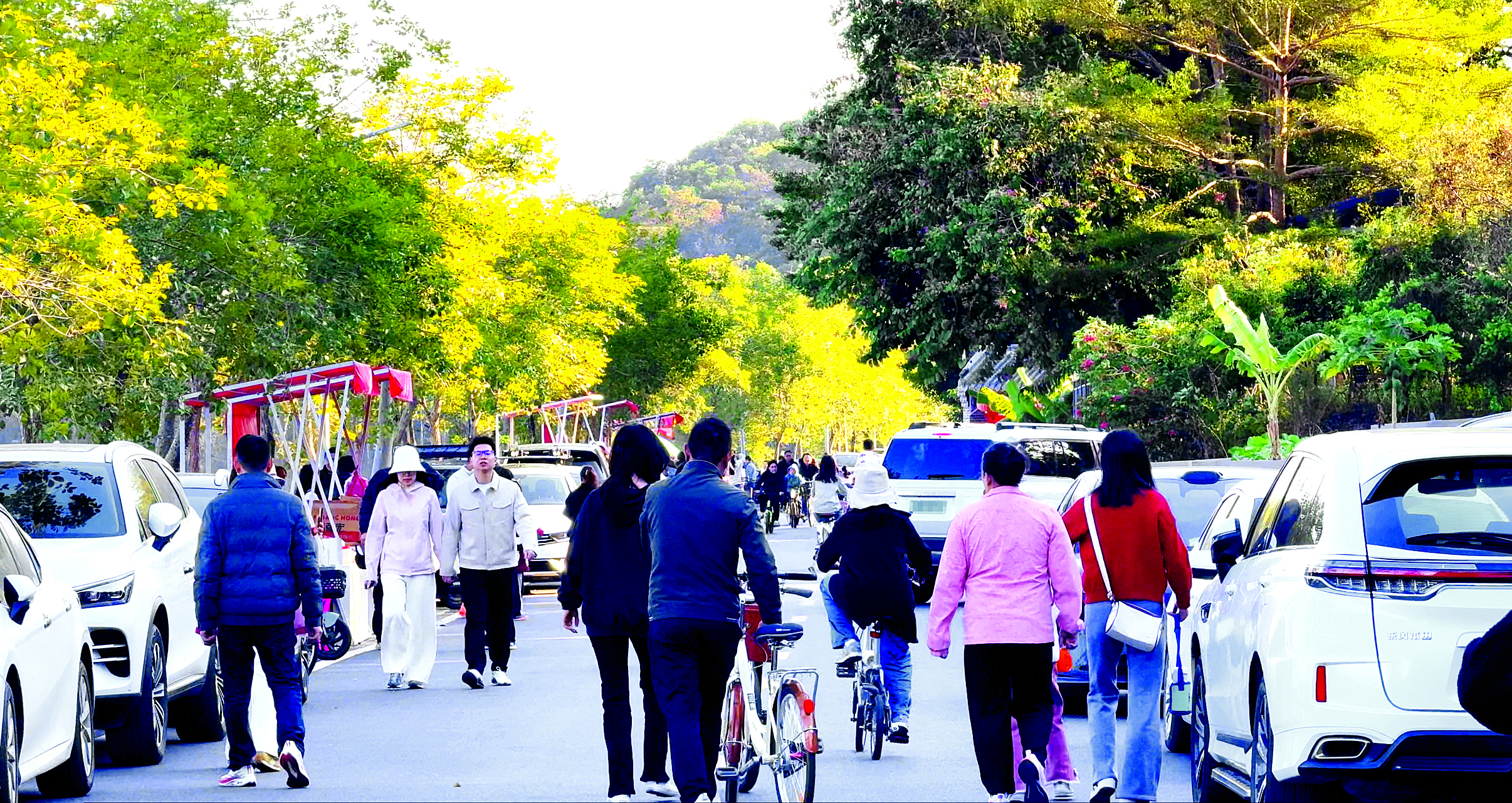 元旦自驾游爆棚!218最美旅游公路激活乡村经济(图3) 元旦自驾游爆棚!218最美旅游公路激活乡村经济(图3)